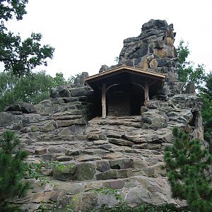 Zoo Berlin 2004 - Barbary Sheep rock