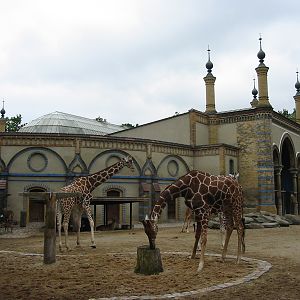 Zoo Berlin 2004 - Historic Antelope and Giraffe House