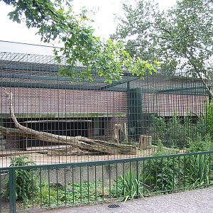 Zoo Berlin 2004 - Leopard enclosure outside the Carnivore House
