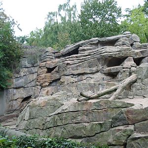 Zoo Berlin 2004 - Monkey grotto