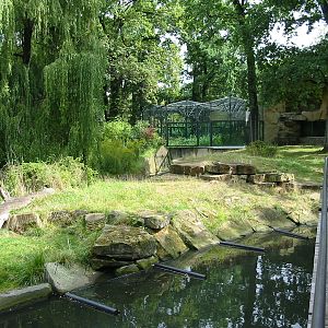 Zoo Berlin 2004 - Gorilla island and boardwalk