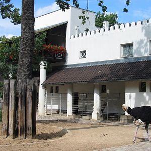 Zoo Berlin 2004 - Ostrich exhibit
