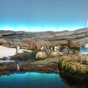 Zoo Berlin 2004 - Artic Penguin dome