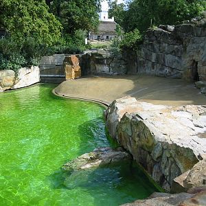 Zoo Berlin 2004 - Common Seal pool?