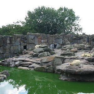 Zoo Berlin 2004 - Front of the Polar Bear exhibit