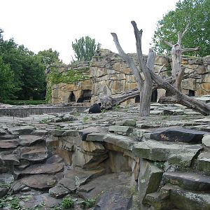 Zoo Berlin 2004 - Concrete bear exhibits