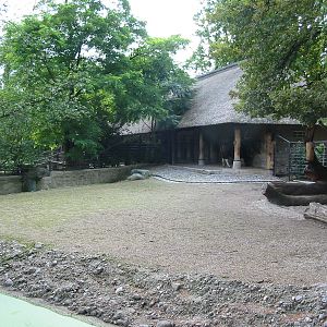 Zoo Berlin 2004 - Indian Gaur exhibit