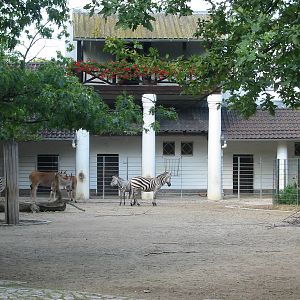 Zoo Berlin 2004 - Grants Zebra and Common Eland exhibit