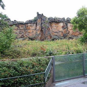 Zoo Berlin 2004 - Front of the African Lion exhibit