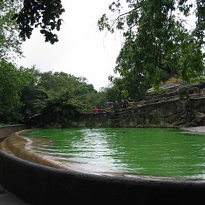 Zoo Berlin 2004 - California Sea Lion pool
