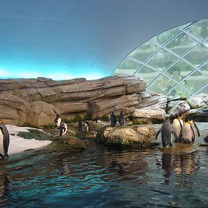 Zoo Berlin 2004 - Artic Penguin dome