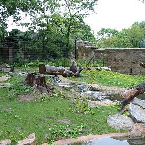 Zoo Berlin 2004 - Brown Bear modified exhibit