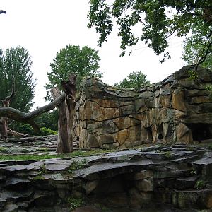 Zoo Berlin 2004 - Spectacled Bear rocky exhibit