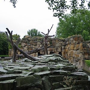 Zoo Berlin 2004 - Sloth Bear rocky exhibits