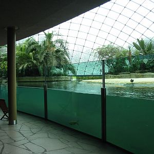 Zoo Berlin 2004 - Inside the Hippopotamus Dome