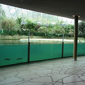 Zoo Berlin 2004 - Inside the Hippopotamus Dome