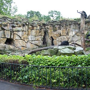 Zoo Berlin 2004 - Front of Malayan Sun Bear exhibit