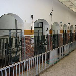 Zoo Berlin 2004 - Inside the historic Swine House