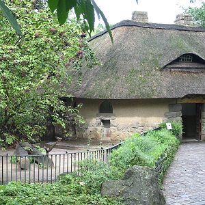 Zoo Berlin 2004 - Entrance to the historic Swine House