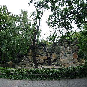 Zoo Berlin 2004 - Lion-tailed Macaque rocky grotto