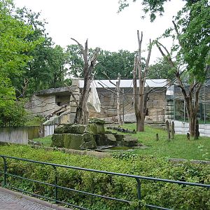 Zoo Berlin 2004 - Sumatran Orangutan outdoor exhibit