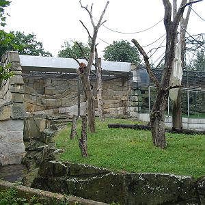 Zoo Berlin 2004 - Sumatran Orangutan outdoor exhibit