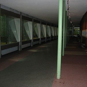 Zoo Berlin 2004 - Inside the Ape House