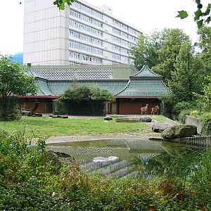 Zoo Berlin 2004 - Nilgai exhibit close to the main entrance