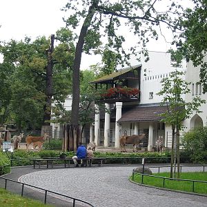 Zoo Berlin 2004 - Grants Zebra and Common Eland exhibit