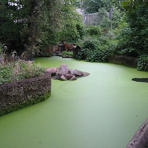 Zoo Berlin 2004 - Exhibit moat