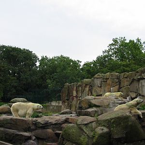Zoo Berlin 2004 - Polar Bear exhibit