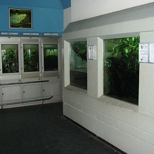 Zoo Berlin 2004 - Inside the Zoo Aquarium