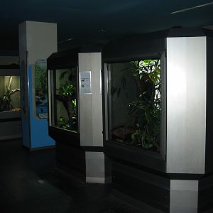 Zoo Berlin 2004 - Inside the Zoo Aquarium