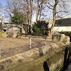 Elephant bullenclosure at Hagenbeck 1/4