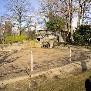 Elephant bullenclosure at Hagenbeck 2/4