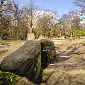 Elephant bullenclosure at Hagenbeck 3/4
