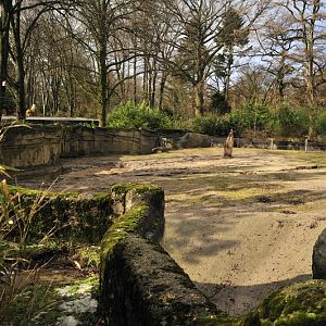 Elephant bullenclosure at Hagenbeck 4/4