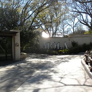 MOLA