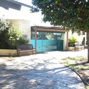 MOLA - Gharial River