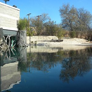 MOLA - Gharial River