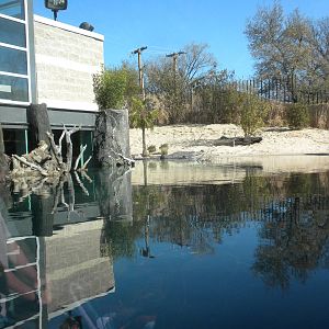 MOLA - Gharial River