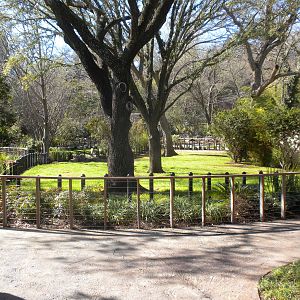 MOLA - Aldabra Tortoise yard
