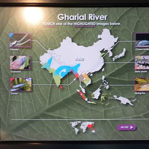 MOLA - Gharial River