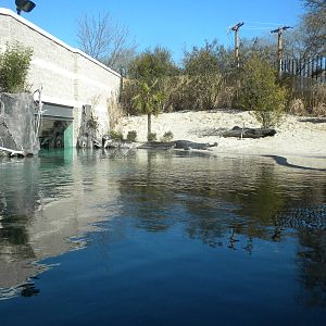 MOLA - Gharial River