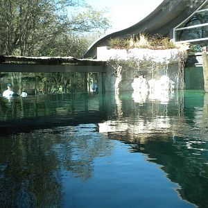 MOLA - Gharial River