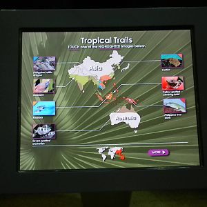 MOLA - Tropical Trails