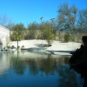 MOLA - Gharial River