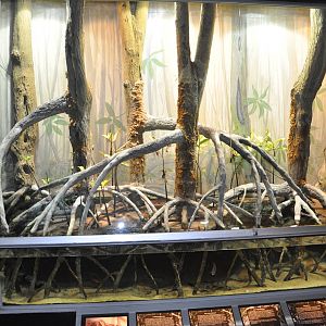 Biotope reptile terrarium