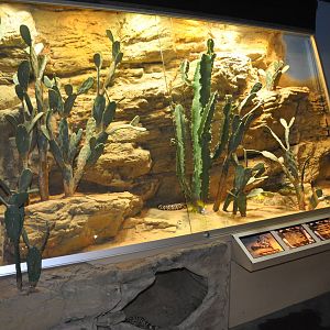 Biotope reptile terrarium