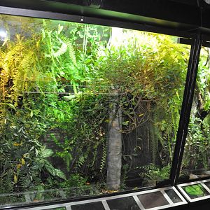 Biotope reptile terrarium